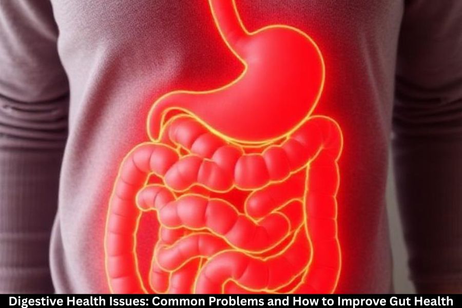 Digestive Health Issues: Common Problems and How to Improve Gut Health