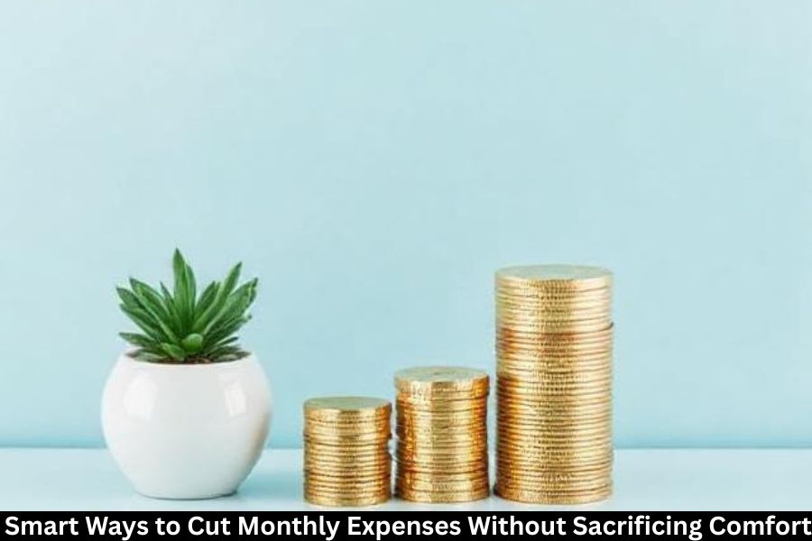 Smart Ways to Cut Monthly Expenses Without Sacrificing Comfort